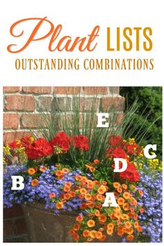 a flower box filled with flowers and the words plant lists outstanding combinations