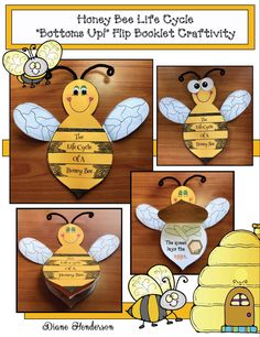 the bee life cycle is shown with pictures of bees and honeybees on it