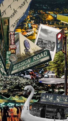 a collage of street signs, cars and swans in front of a lake drive sign