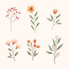 four different types of flowers are shown in this image, one is orange and the other has