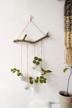 there is a plant hanging on the wall next to a branch with leaves and beads