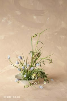 a white bowl filled with lots of flowers on top of a table next to a wall