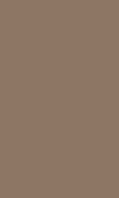 an image of a brown background