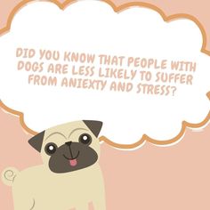 It's true.

Statistically, people with dogs are less likely to suffer from aniexty and stress.

Dogs really are a human's best friend! 🧡 People With Dogs, Did You Know, Family Guy, Best Friends, Human, Dogs