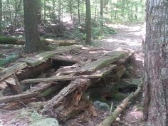 an old wooden structure in the woods