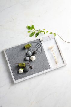 a tray with rocks and plants on it