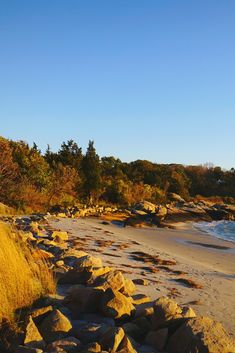 the beach is lined with rocks and grass