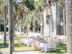 tables and chairs are set up in the grass near palm trees at an outdoor wedding reception