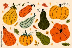 an illustration of pumpkins and gourds on a white background