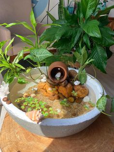 a bowl filled with rocks and plants on top of a wooden table