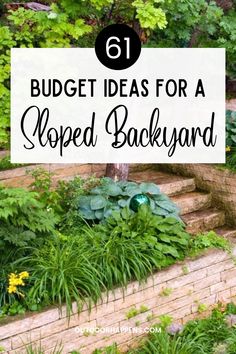 a garden with green plants and flowers on the ground, text reads 61 budget ideas for a sloped backyard