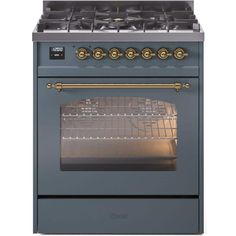 a blue oven with two burners and gold trim