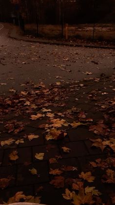 a fire hydrant sitting on the side of a road covered in leaves at night