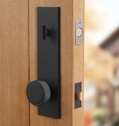 a door handle on a wooden door with a house in the background