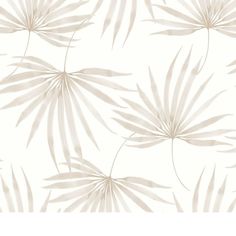 a white wallpaper with palm leaves on it