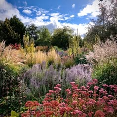 a garden filled with lots of different types of flowers