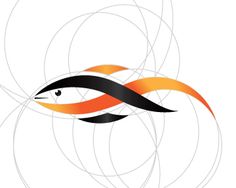 an orange and black fish with swirls on it's back side, against a white background