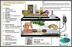 an image of a display case with different items in it and instructions on how to use it