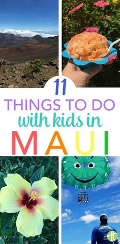 there are many things to do with kids in mau, including kites and flowers