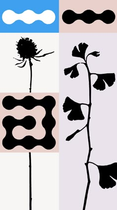 four different types of flowers and shapes