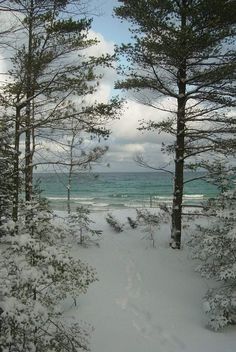 snow covered ground with trees and water in the background on a cloudy day by the beach