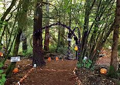 a path in the woods decorated with halloween decorations