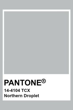 the pantone color is shown in white and gray