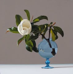 a white flower is in a blue vase