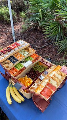 several trays filled with different types of fruit on a blue table cloth in front of trees