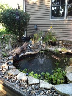 a small pond in the middle of a yard