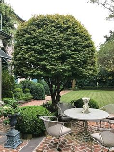 a table and chairs are in the middle of a garden