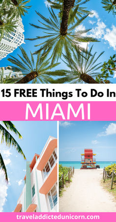 the beach and palm trees with text overlay that reads 15 free things to do in miami