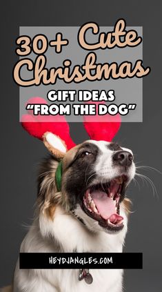 30+ Cute Christmas Gifts From The Dog Dog Grandparents Gift Ideas, Christmas Gifts For Dog Daycare, Pet Christmas Gifts Ideas, Dog Daycare Christmas Gifts, Christmas Gifts For Dog Owners, Dog Christmas Ideas Gift, Christmas Gift Ideas For Dog Grooming Clients, Christmas Gifts From Dog, Pet Gifts For Owner