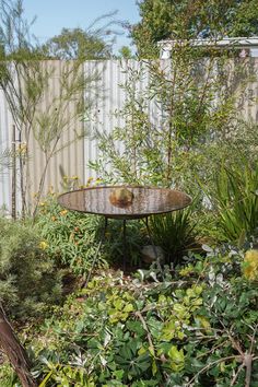 an old table in the middle of some bushes and plants with a fence behind it