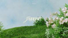 an image of flowers and grass with the word january written in cursive font