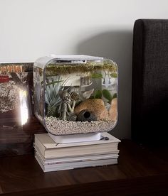 an aquarium is sitting on top of some books