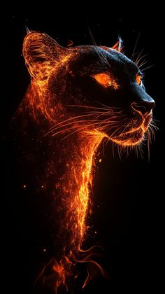 a black cat with orange eyes is shown in this artistic photo, it appears to be glowing