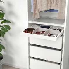 a white cabinet with three drawers and two pairs of sunglasses on it next to a potted plant