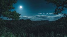 the full moon shines brightly in the night sky over trees and hills on a hillside