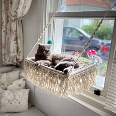 a cat laying in a hammock hanging from a window