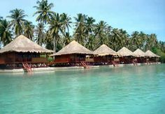 the beach is lined with thatched huts and palm trees