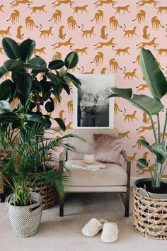 a living room with pink wallpaper and large potted plants