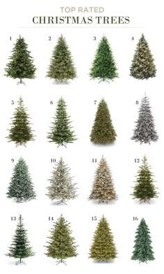 the different types of christmas trees are shown in this image, with text overlaying them