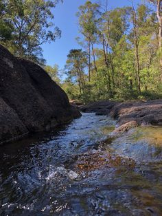 a river running through a forest filled with lots of rocks and trees in the background