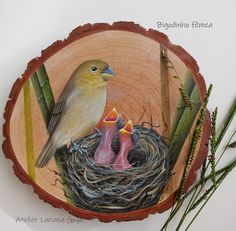 a bird sitting on top of a nest in a tree slice next to some plants