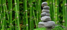 rocks stacked on top of each other in front of tall green grass and bamboo stalks