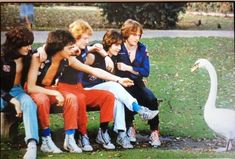 a group of young people sitting on a bench next to a white swan in a park