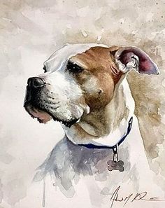 a painting of a brown and white dog with a blue collar looking to the side