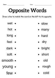 opposite and opposite words worksheet