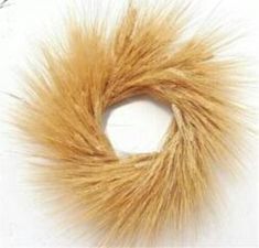 a close up of a furry animal's tail on a white surface with no background